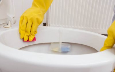 Il tuo Wc e la tua scrivania, vengono puliti con lo stesso straccio?